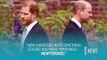 Author on Prince Harry & Prince William Rift_ There's No Going Back _ E! News