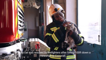 Cat rescued