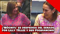 VEAN! ¡’Móchitl’ la candigata del Sr. X. es despedida del senado por Lilly Téllez y sus Poquianchis!