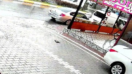 Esenyurt'ta yolda bulduğu cüzdandan 15 bin lira alıp ortadan kayboldu