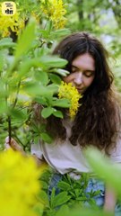 हम प्रेम करना नहीं जानते || आचार्य प्रशांत