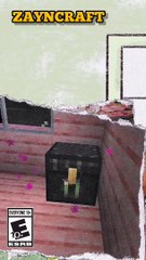 MINECRAFT GAME CLIPS #8