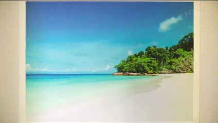 The Tenants | Trailer 1