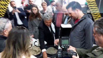 Samsun'da mucize için 30 milyon dolar, faydası saymakla bitmiyor: Beyni destekliyor ve hafızayı uçuruyor!