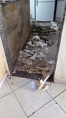 Cantora famosa tem casa destruída após queda de árvore