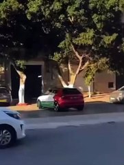 Filistin Bayraklı Araba