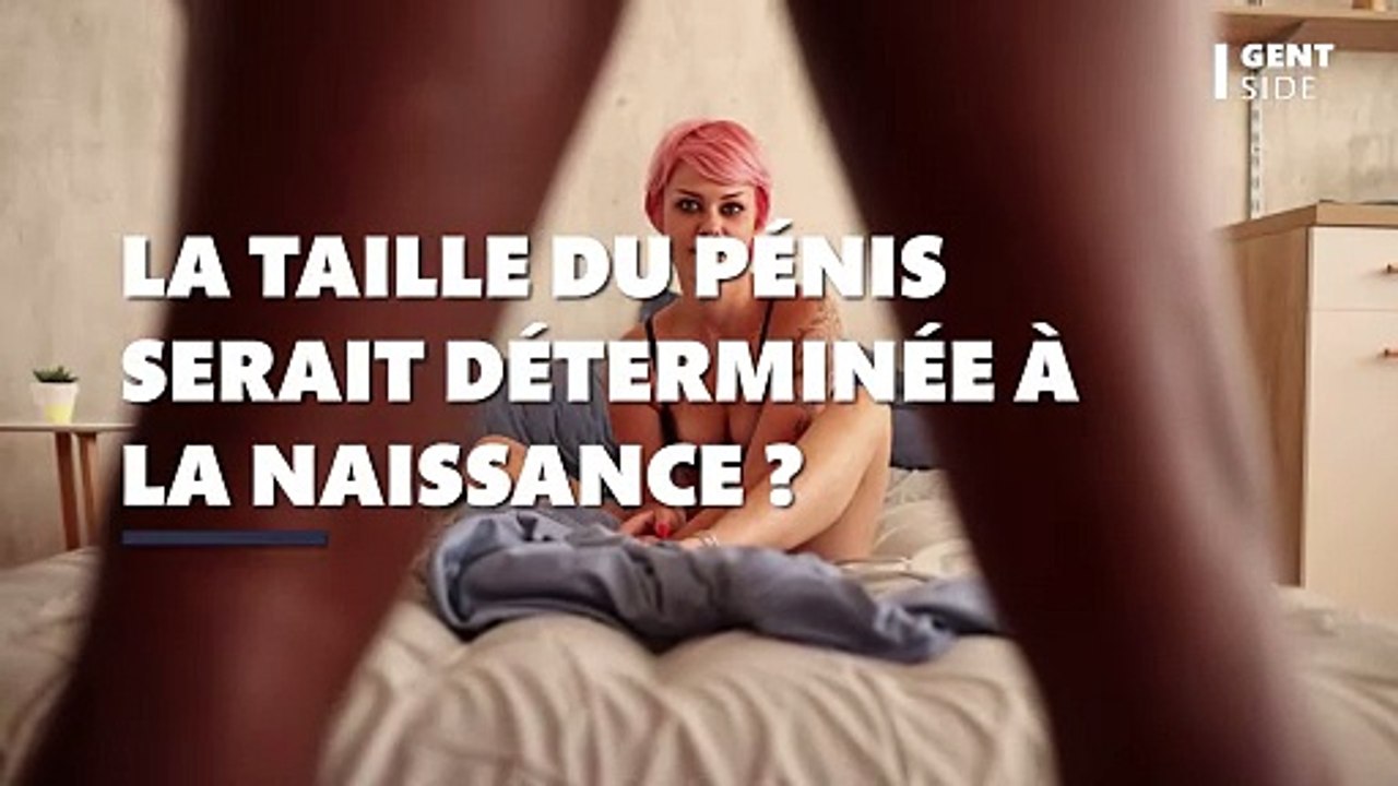 taille du pénis