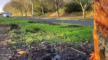 Casualty taken to hospital after serious Hartlepool crash