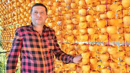 Cennet hurmasında kurutma mesaisi! Değeri 10 kat artıyor