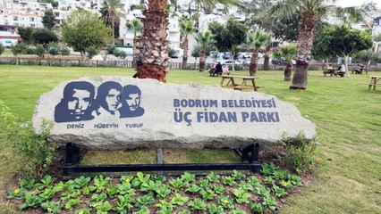  Devrimci üç fidanın adı Bodrum’daki parkta yaşatılacak