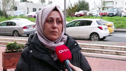 Başakşehir'de Kedinin Patileri ve Kuyruğu Kesilerek Öldürüldü