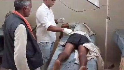 पन्ना: वृद्ध चरवाहे पर जंगली सुअर ने किया हमला, मचा हडकंप