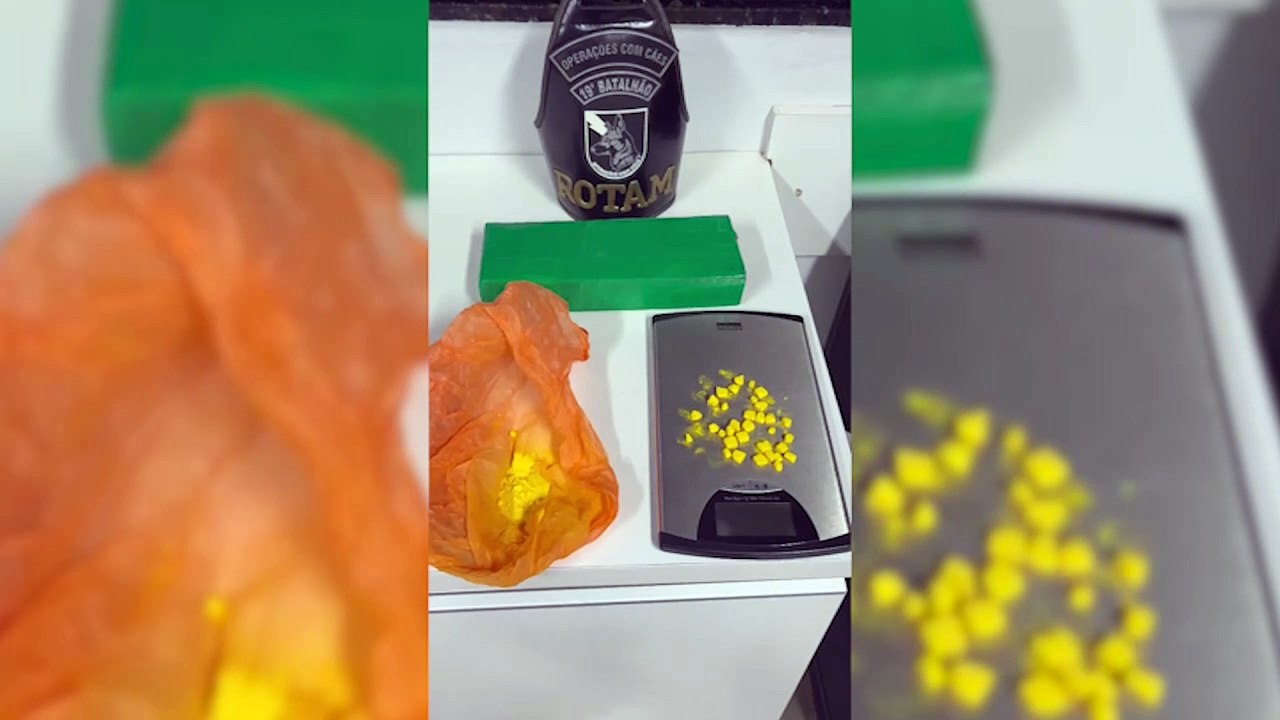 Casal em posse de drogas que vinha para Cascavel em ônibus de linha é preso pela ROTAM em Toledo