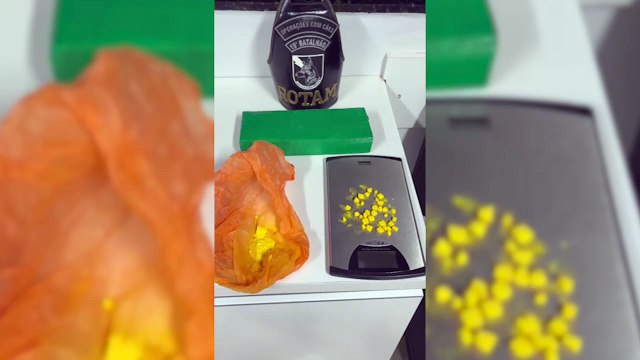 Casal em posse de drogas que vinha para Cascavel em ônibus de linha é preso pela ROTAM em Toledo