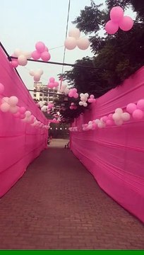 मतदान प्रतिशत बढ़ाने बनाए पिंक बूथ, देखें वीडियो