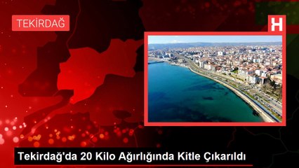 Tekirdağ'da 20 Kilo Ağırlığında Kitle Çıkarıldı