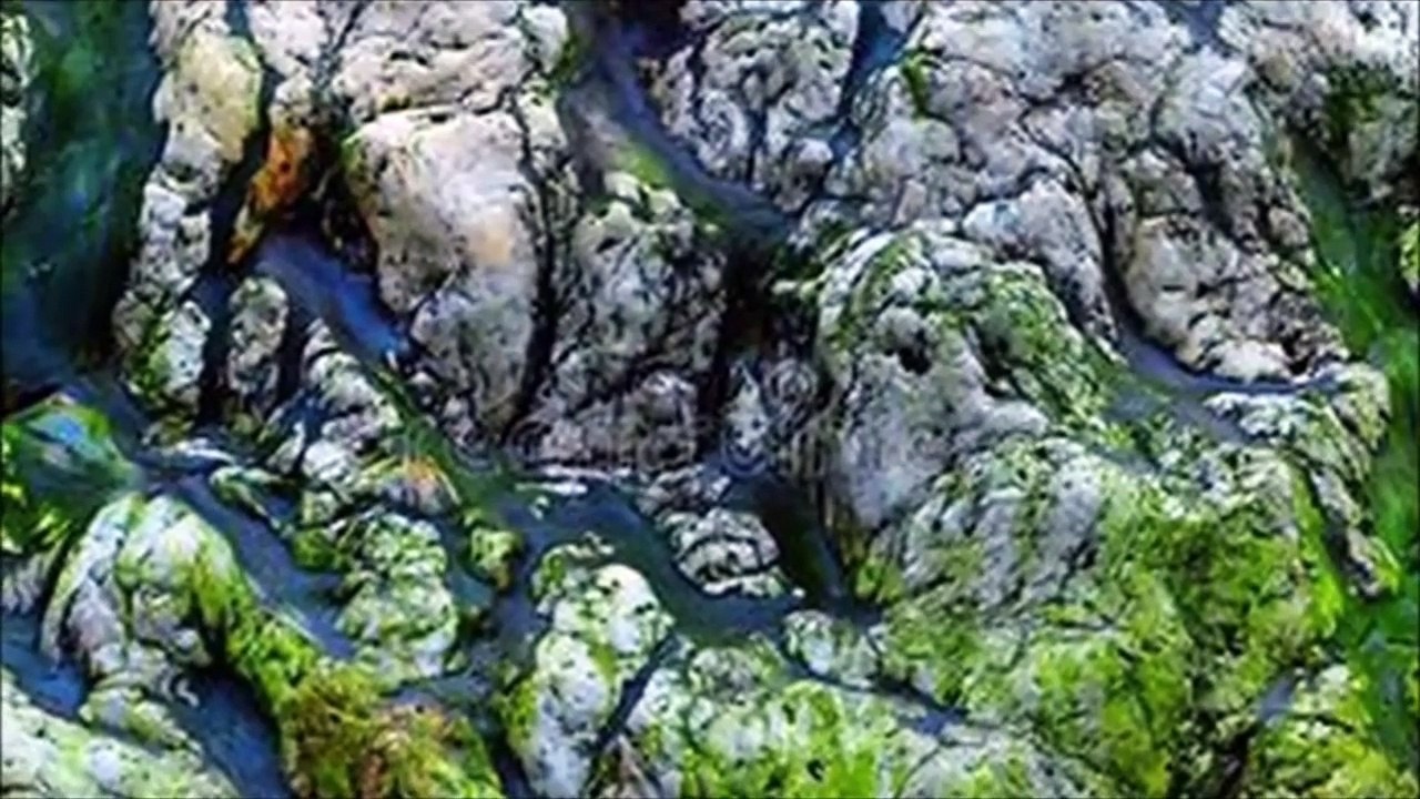 Động cẩm thạch Chile - vẻ đẹp diệu kỳ của tạo hóa