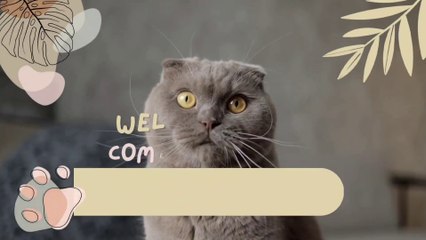 चोर घुसा साइंटिस की लेब में | Hindi Stories | Hindi Kahaniya | @Kahaniyawale