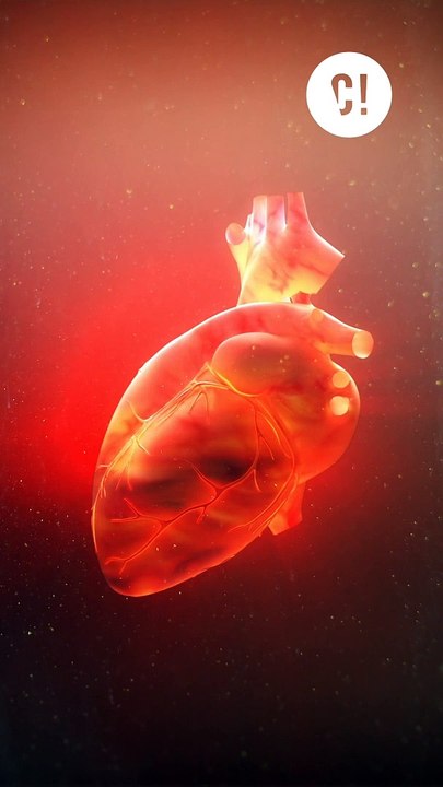 Tes doigts qui se vident de leur $ANG !