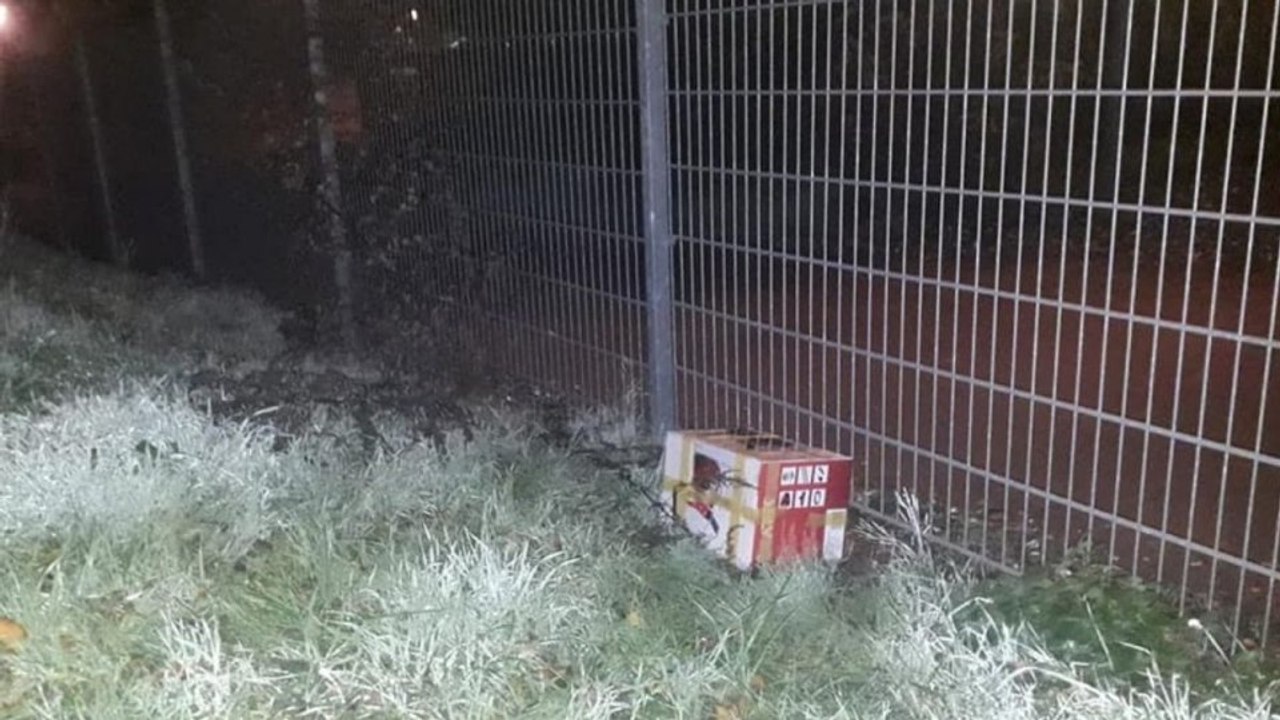 Mitarbeiter kommt nachts an Tierheim vorbei und blickt dem Grauen ins Auge720