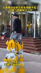 當大黃蜂的腿被偷走…… When bumblebee's legs were stolen.