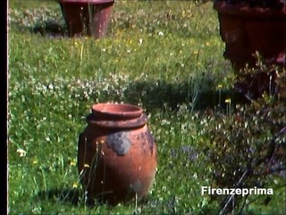 Philips V 200 Vidicon video colour camera