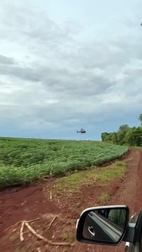 Forças de segurança apreendem 2,4 toneladas de maconha em Guaíra