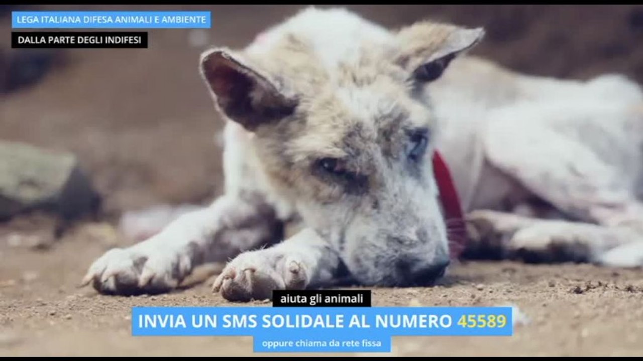 Leidaa, fino al 2 dicembre campagna sms solidale