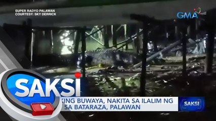 Malaking buwaya, nakita sa ilalim ng bahay sa Bataraza, Palawan | Saksi