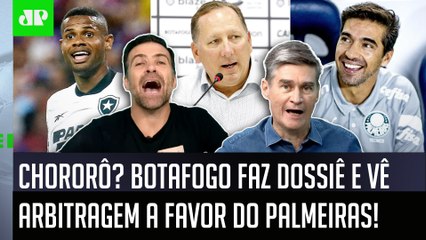 "É UMA PALHAÇADA! O Botafogo fez um ESTUDO pra RECLAMAR DA ARBITRAGEM!" CHORORÔ contra o Palmeiras!