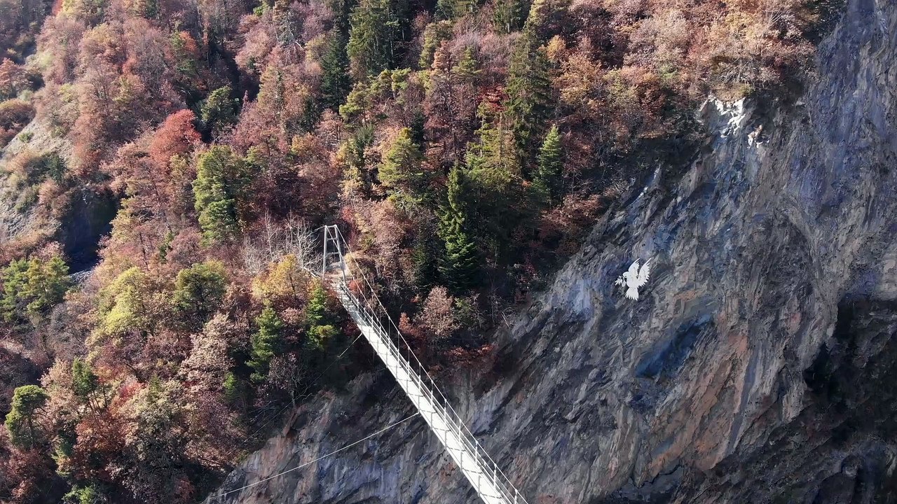 La Passerelle à Farinet