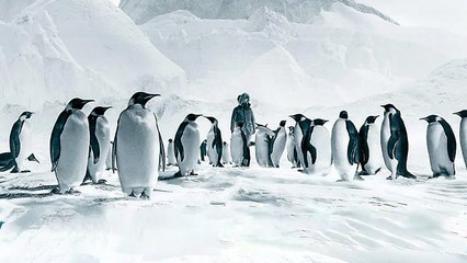 VOYAGE AU PÔLE AU SUD Bande Annonce