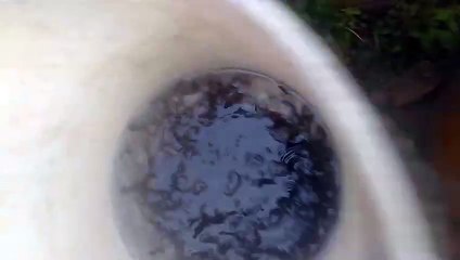 Begini akibatnya jiga terlalu lama tidak melakukan SORTIR, bongsoran banyak