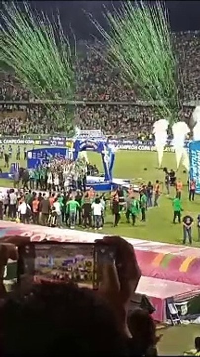 CELEBRACIÓN VERDE