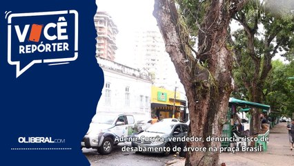 Adenir Corrêa, vendedor, denuncia risco de desabamento de árvore na praça Brasil