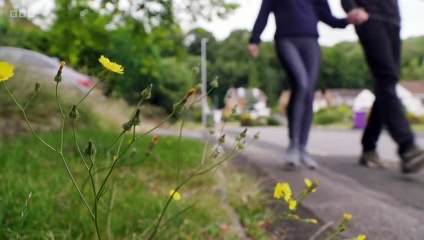 Defenders Uk S06E04 (23 November 2023)