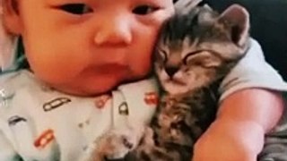 What a perfect love between a cat and a child | Beatiful Kitten | Cute Cat Videos #shorts