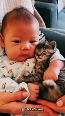 What a perfect love between a cat and a child | Beatiful Kitten | Cute Cat Videos #shorts