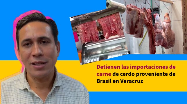 Detienen las importaciones de carne de cerdo proveniente de Brasil en Veracruz