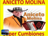 Aniceto Molina Exitos Prendidos de Antano mix puro movimiento
