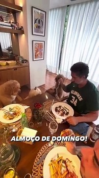 ALERTA FOFURA! Marcos Mion registra almoço especial com seus pets; veja vídeo
