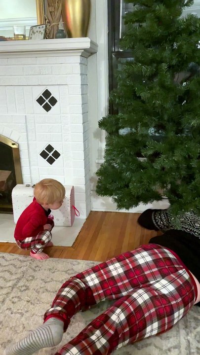 Christmas Tree Lights Adorably Dazzle