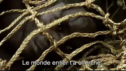 Man to Man Bande-annonce (EN)