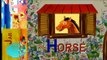 Pelajari ABC -H- Rumah,Kuda,Kuda Nil Burung