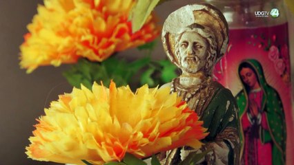 Gobierno dará disculpa pública en caso donde se quedó entrampada orden de protección contra Alondra