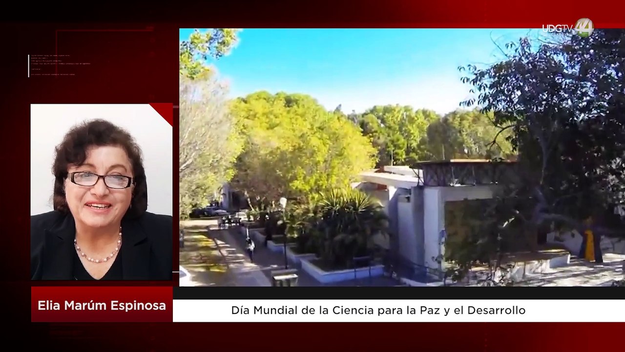 Día Mundial de la Ciencia para la Paz y el Desarrollo: Elia Marúm Espinosa