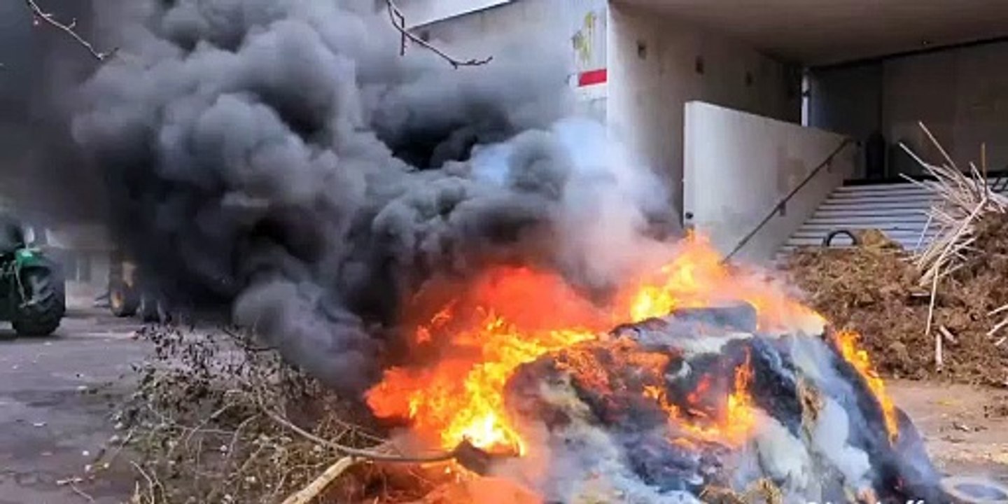 Французы завалили мэрию навозом