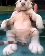 Now let's move on to water procedures