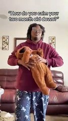 Bebé se hace viral porque se tranquiliza con canciones de Azul Azul y Celia Cruz