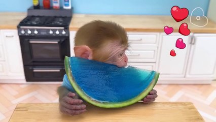 Monkey Baby Bon Bon brush his teeth in the toilet and and Eats Ice Cream with puppy at the pool